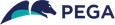 pega-transparent_5