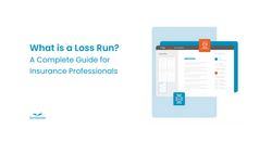 What is a Loss Run Report