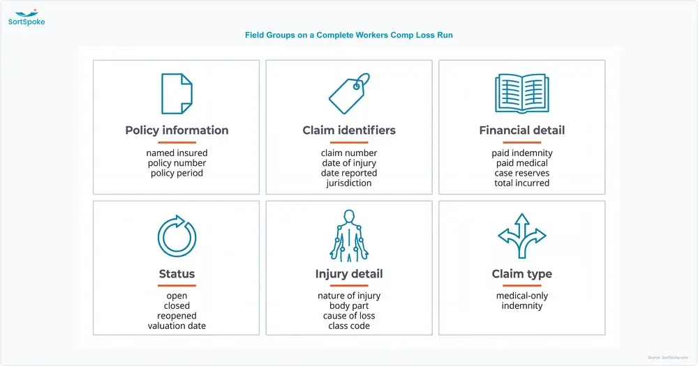 Six field groups on a complete workers comp loss run — policy information, claim identifiers, financial detail, status, injury detail, and claim type — with the fields each group carries